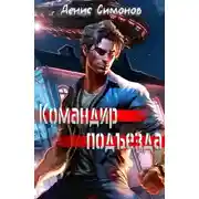 Постер книги Командир подъезда