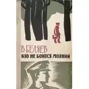 Постер книги Кто не боится молний
