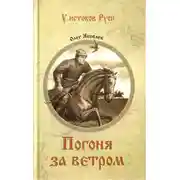 Постер книги Погоня за ветром