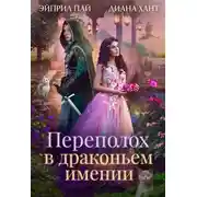 Постер книги Переполох в драконьем имении