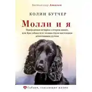 Постер книги Шуго и Рвущий связи