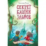 Постер книги Секрет башни эльфов