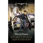 Постер книги Один в поле воин