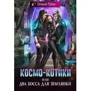 Постер книги Космо-котики, или Два босса для землянки