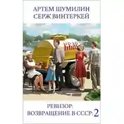 Постер книги Ревизор: возвращение в СССР 2