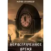Постер книги Нерастраченное время