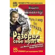 Постер книги Разорви себе мозг! Путь в мир без страха, или Жизнь и приключения Влада Штангера