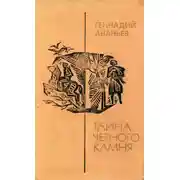 Постер книги Тайна черного камня