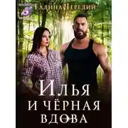 Постер книги Илья и черная вдова