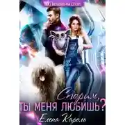 Постер книги Спорим, ты меня любишь?