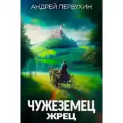 Постер книги Жрец