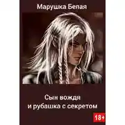 Постер книги Сын вождя и рубашка с секретом