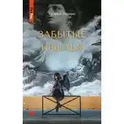 Постер книги Забытые крылья