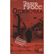Постер книги Одиночка