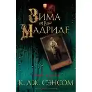 Постер книги Зима в Мадриде