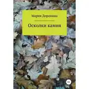 Постер книги Осколки камня