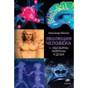 Постер книги Эволюция человека. Книга II. Обезьяны, нейроны и душа