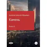 Постер книги Камень. Книга 1