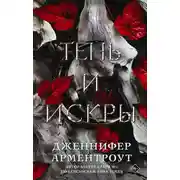 Постер книги Тень и искры