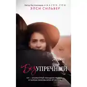 Постер книги Безупречный