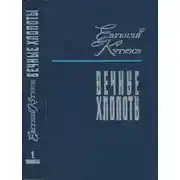 Постер книги Вечные хлопоты. Книга первая
