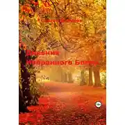 Постер книги Дневник Избранного Богом