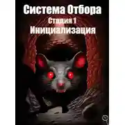 Постер книги Система Отбора. Стадия 1. Инициализация.