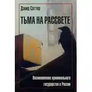 Постер книги Тьма на рассвете. Возникновение криминального государства в России