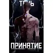 Постер книги Тень. Принятие