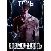 Постер книги Тень. Возможность