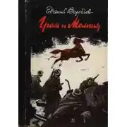 Постер книги Гром и Молния