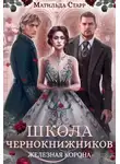 Матильда Старр - Школа чернокнижников. Железная корона