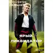 Постер книги Ярый. Ликвидатор