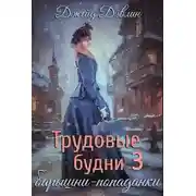 Постер книги Трудовые будни барышни-попаданки 3