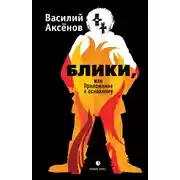 Постер книги Блики, или Приложение к основному