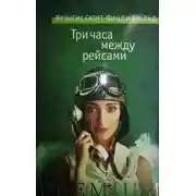 Постер книги Три часа между рейсами