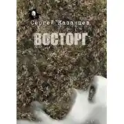 Постер книги Восторг