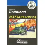 Постер книги Заблудившиеся