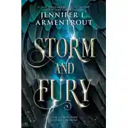 Постер книги Буря и ярость