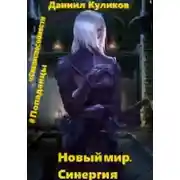 Постер книги Новый мир. Синергия