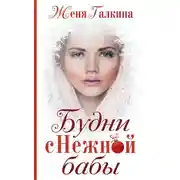 Постер книги Будни Снежной бабы