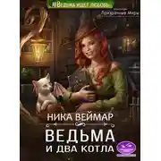 Постер книги Ведьма и два котла