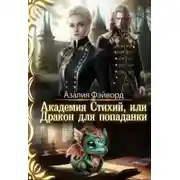 Постер книги Академия Стихий, или Дракон для попаданки