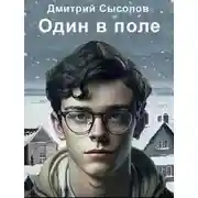 Постер книги Один в поле...