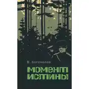 Постер книги Момент истины