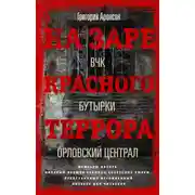 Постер книги На заре красного террора. ВЧК – Бутырки – Орловский централ