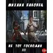 Постер книги Не тот господин 3