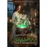 Постер книги Ведьма, тень и черный кот