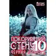 Постер книги Черная дорога