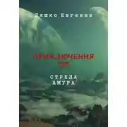 Постер книги Приключения ДД. Стрела Амура